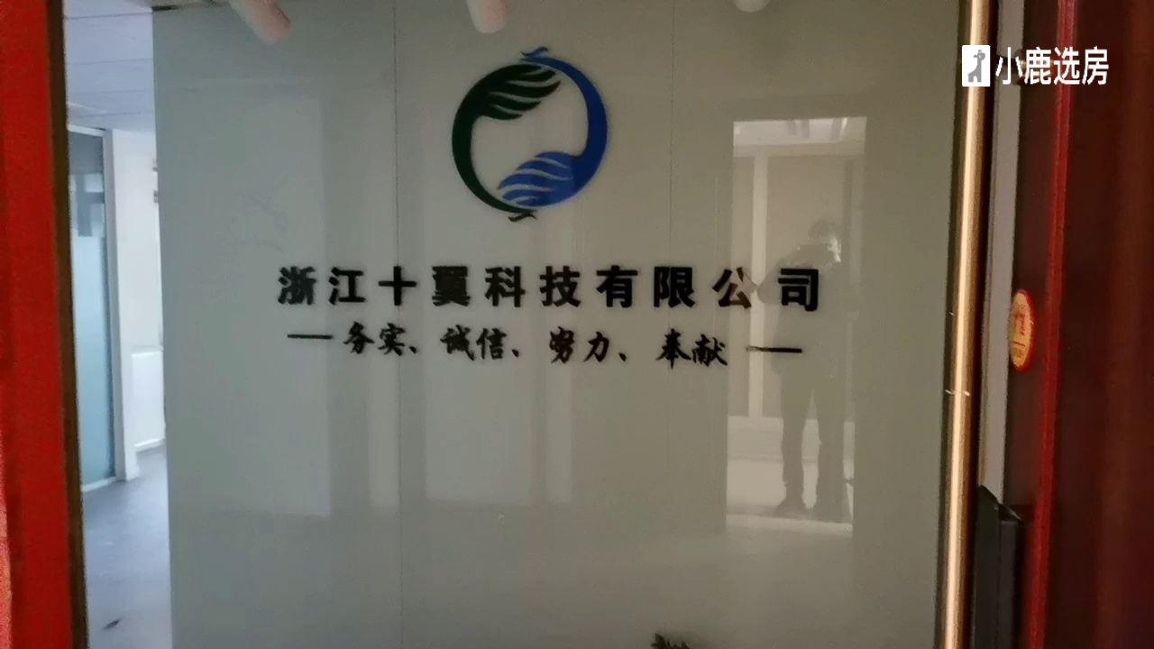 野风现代之星