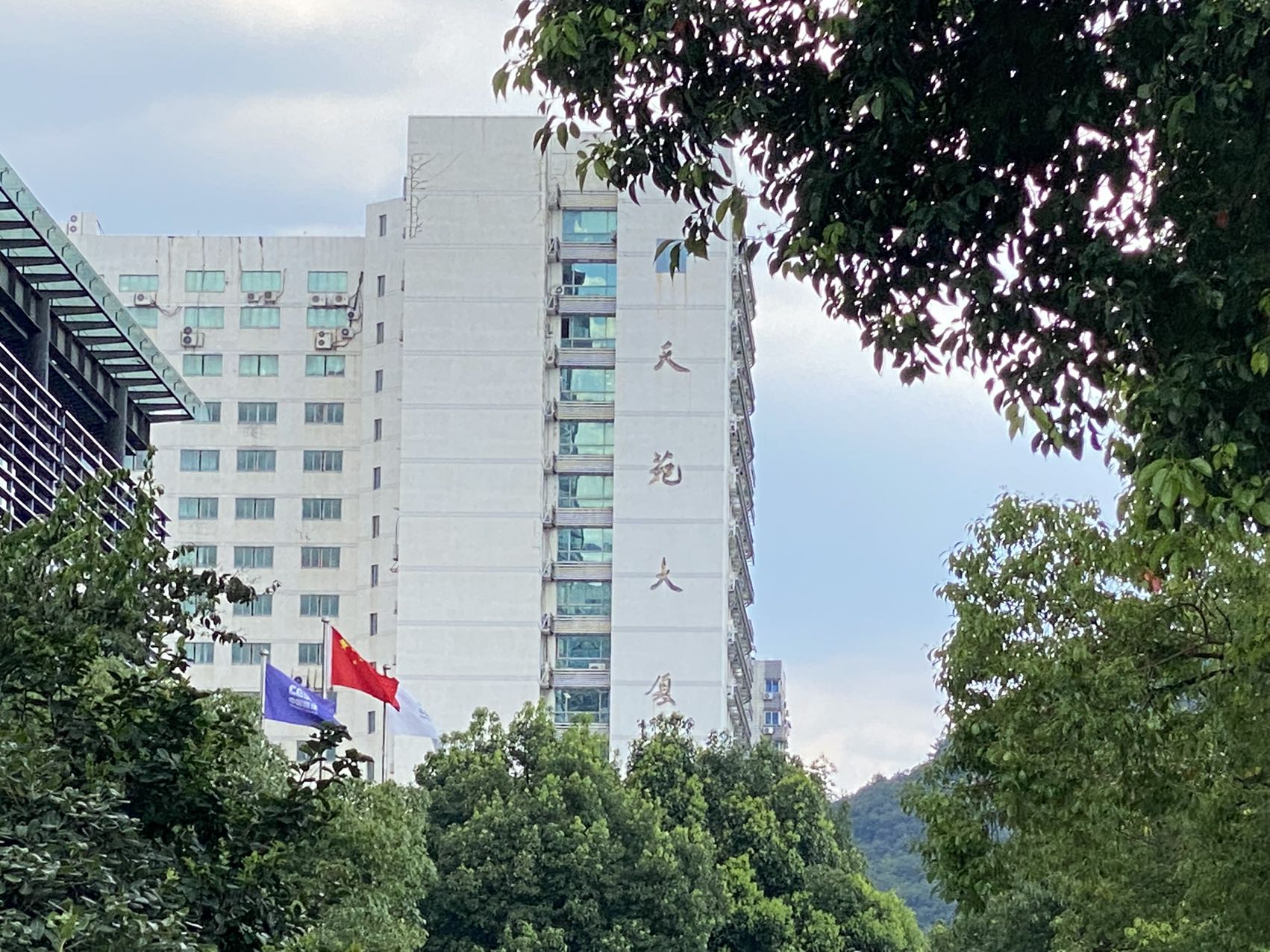 西湖区 天苑大厦 358方 便宜出售